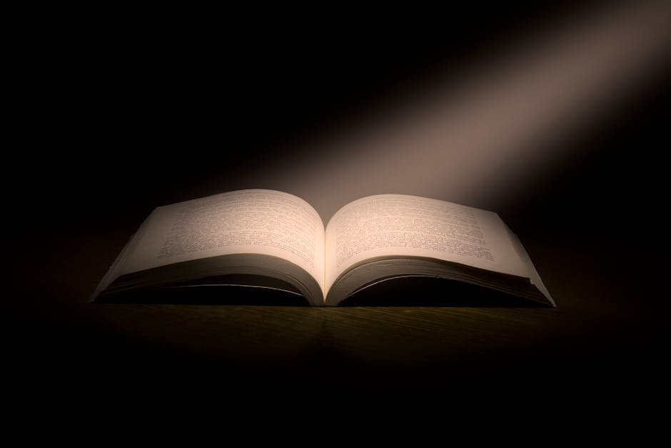 Spotlight on New Spanish Literature Releases
