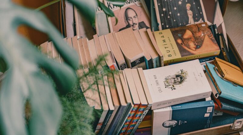 Uncover the Latest in Spanish Novels