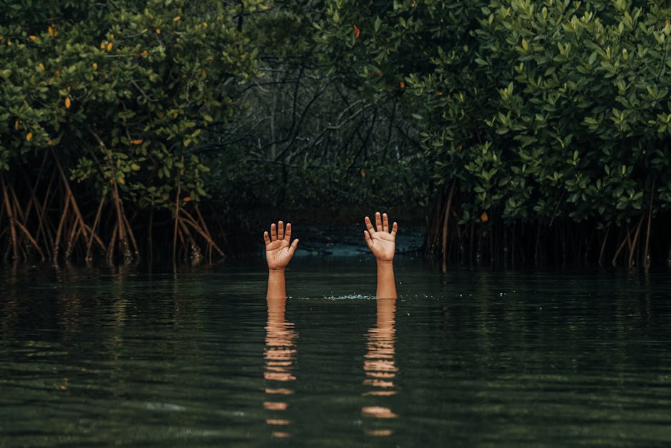 Literatura de Terror: Miedo y Suspenso
