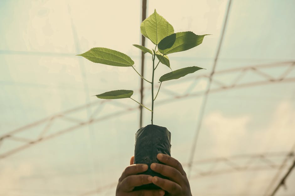 Ciencia Ficción: Futuro y Posibilidad