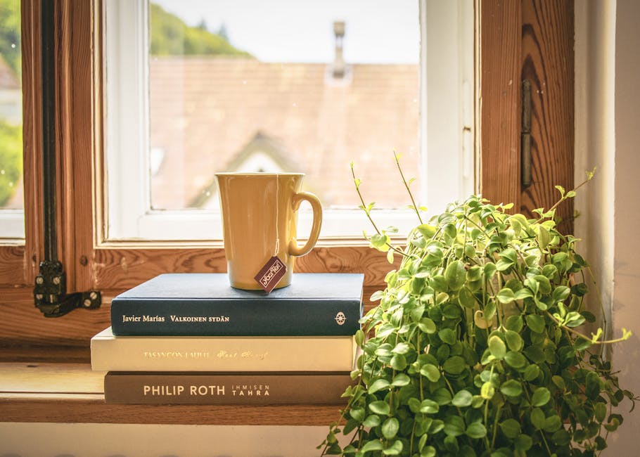 Fresh Finds: Spanish Books Just Released