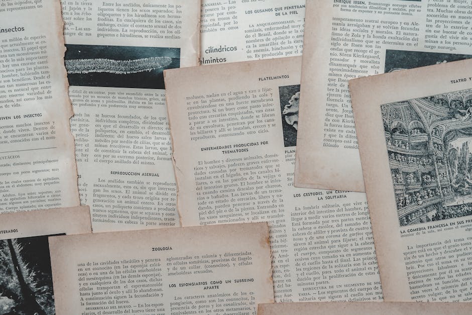 New Spanish Books You Can't Miss