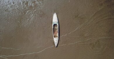 Literatura Bajo el Mar: Aguas Profundas
