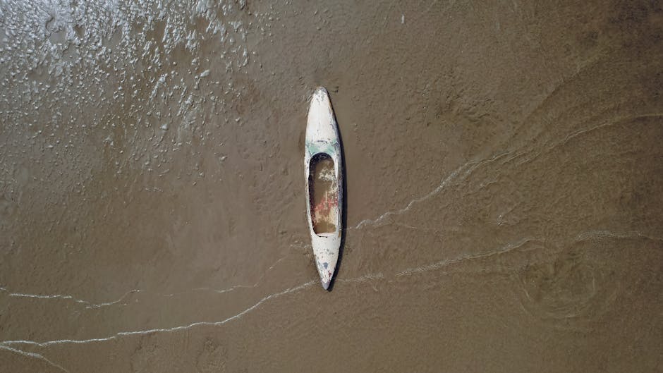 Literatura Bajo el Mar: Aguas Profundas