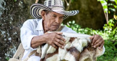 Exploring the Essence of Spanish Storytelling