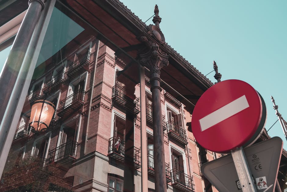 Explore New Spanish Titles This Month