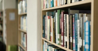 Discover the Hottest New Spanish Titles